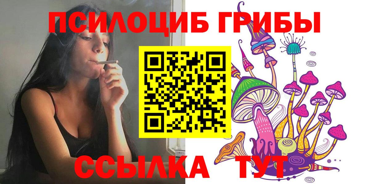 Галлюциногенные грибы Cubensis  Галлюциногенные грибы Cubensis  Самара  Вход с VPN 