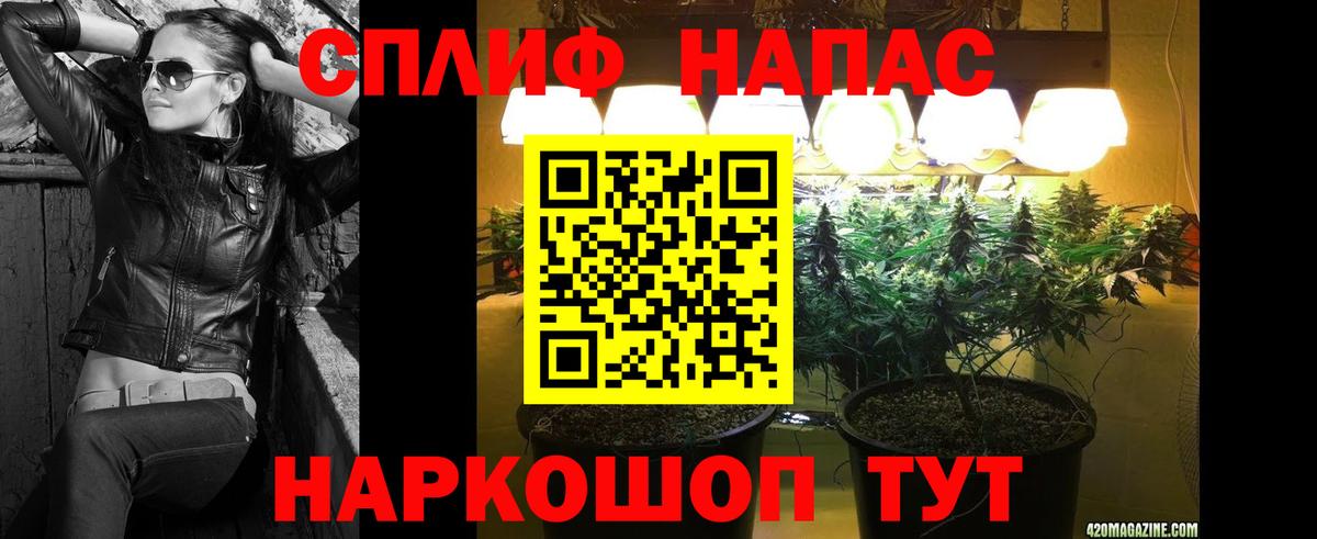 Бошки марихуана семена  Бошки Шишки гибрид  Вход с VPN  Самара 